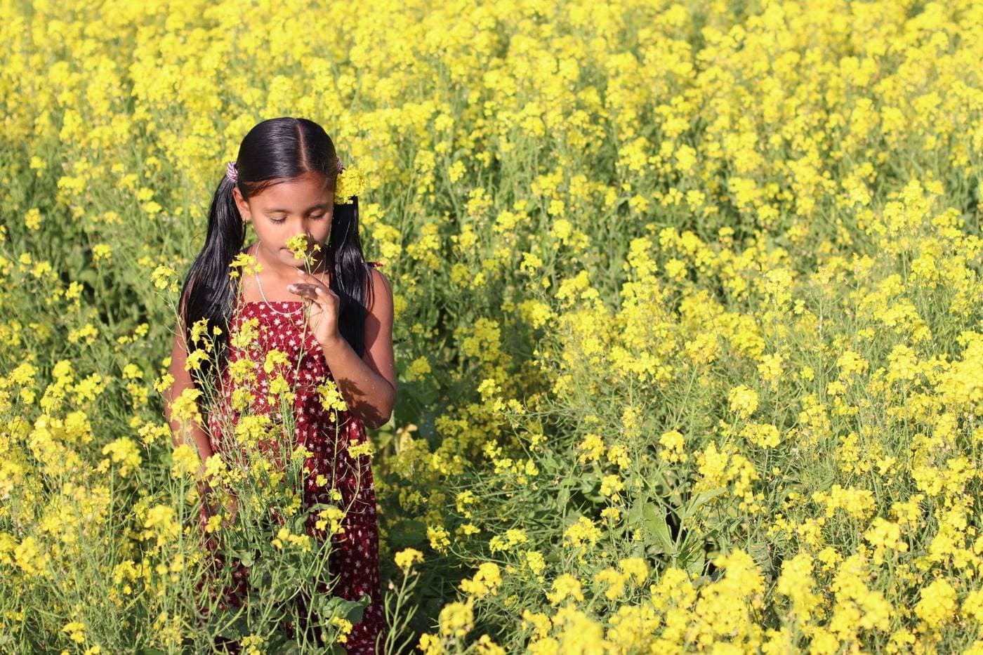 A young girl in a red dress smells bright yellow flowers in a vibrant field.